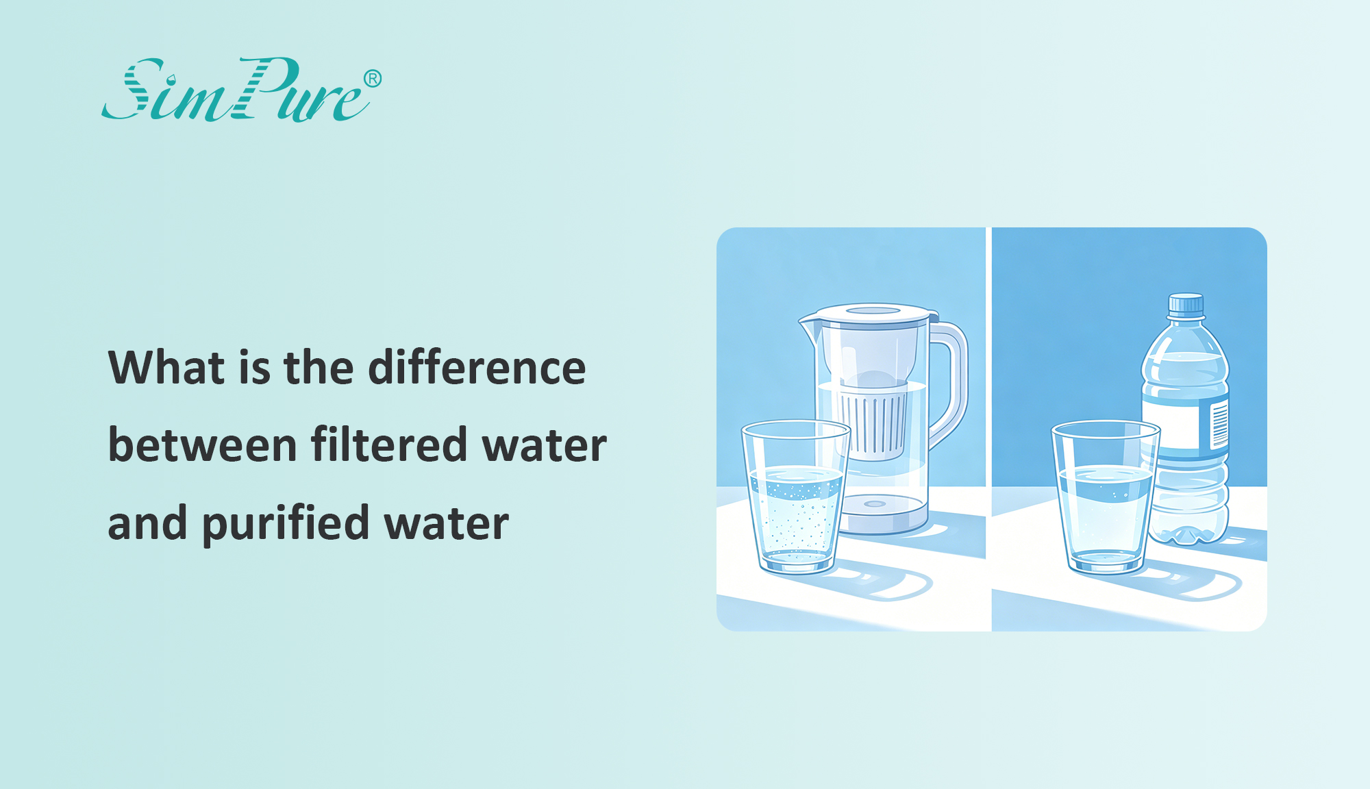 what is the difference between filtered water and purified water