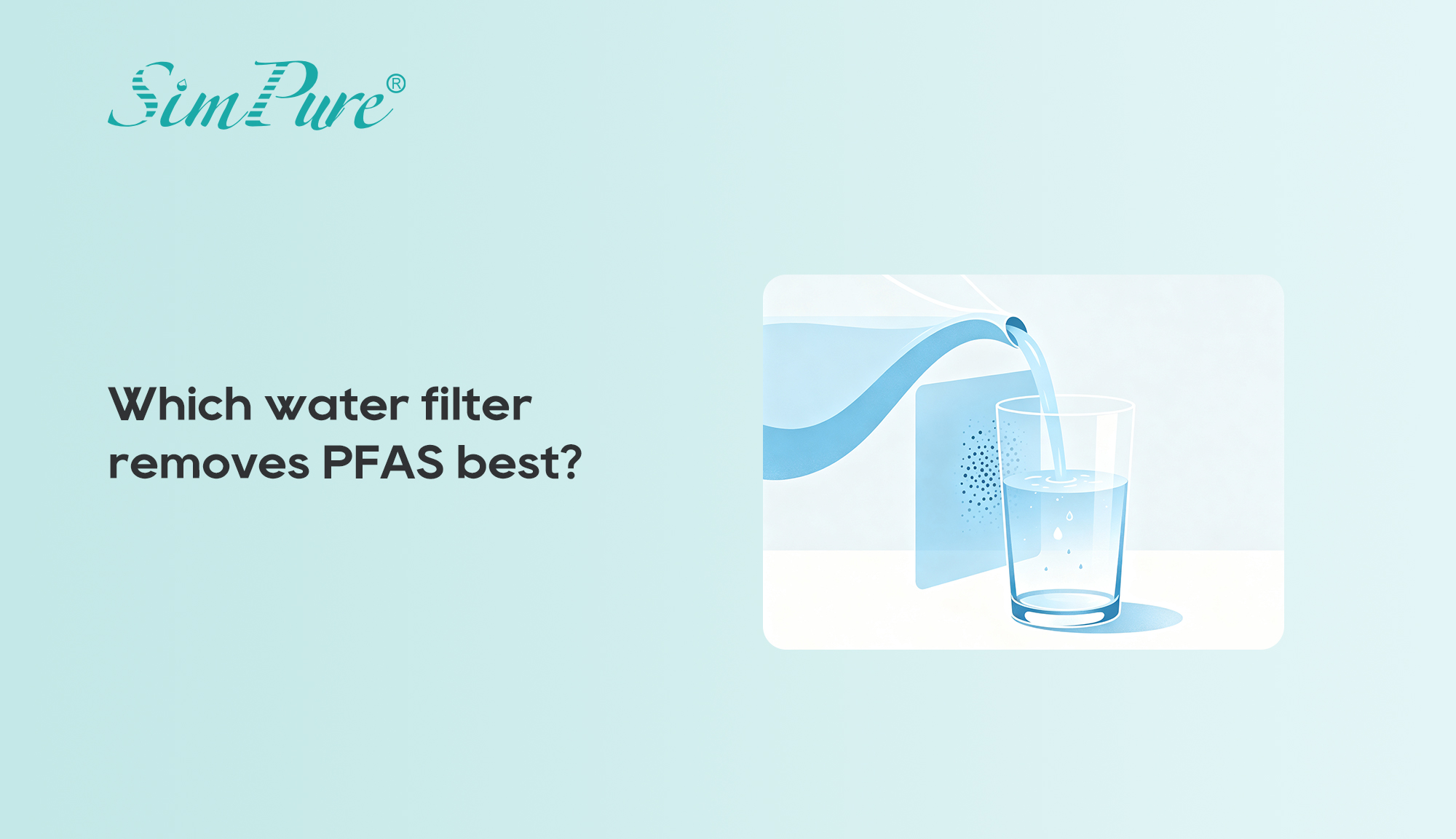 Which water filter removes PFAS best?