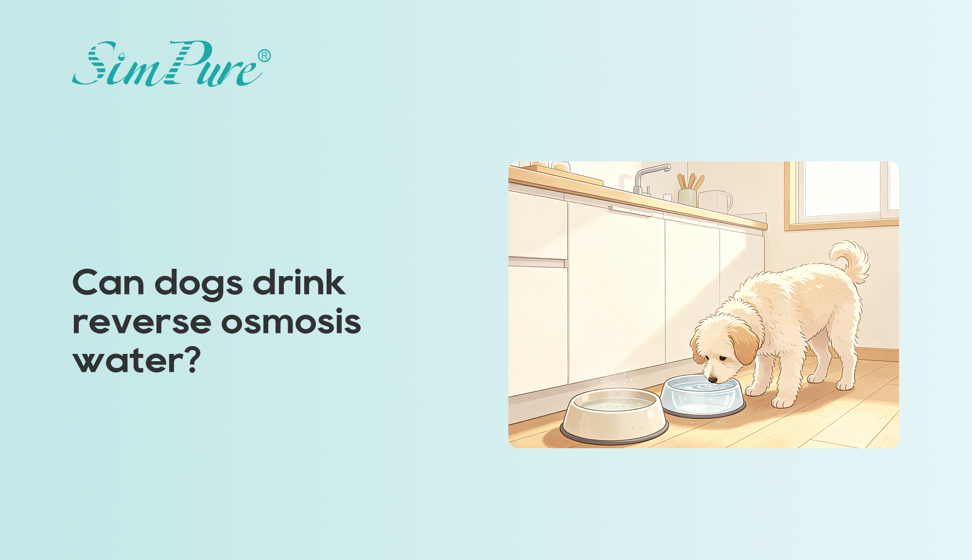 Can dogs drink reverse osmosis water?