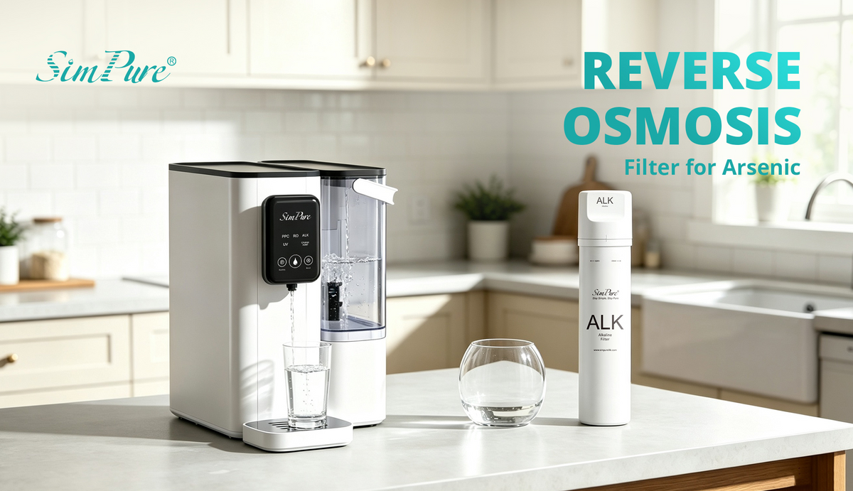 reverse osmosis filter for arsenic