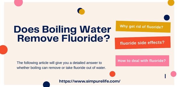 Does Zero Water Filter Remove Fluoride? Unveil the Truth!