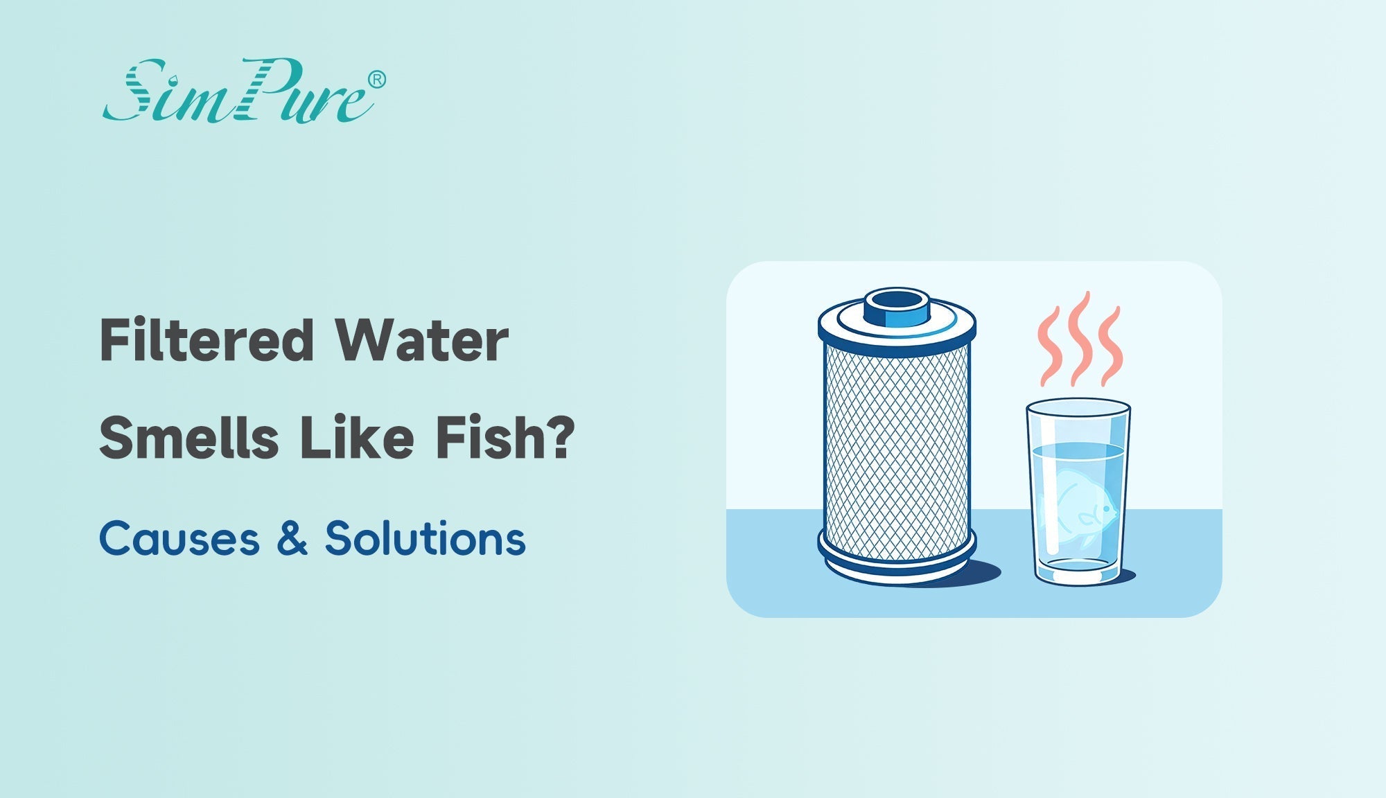 why does my filtered water smell like fish