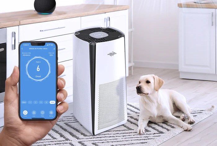 Do air purifiers help with smell