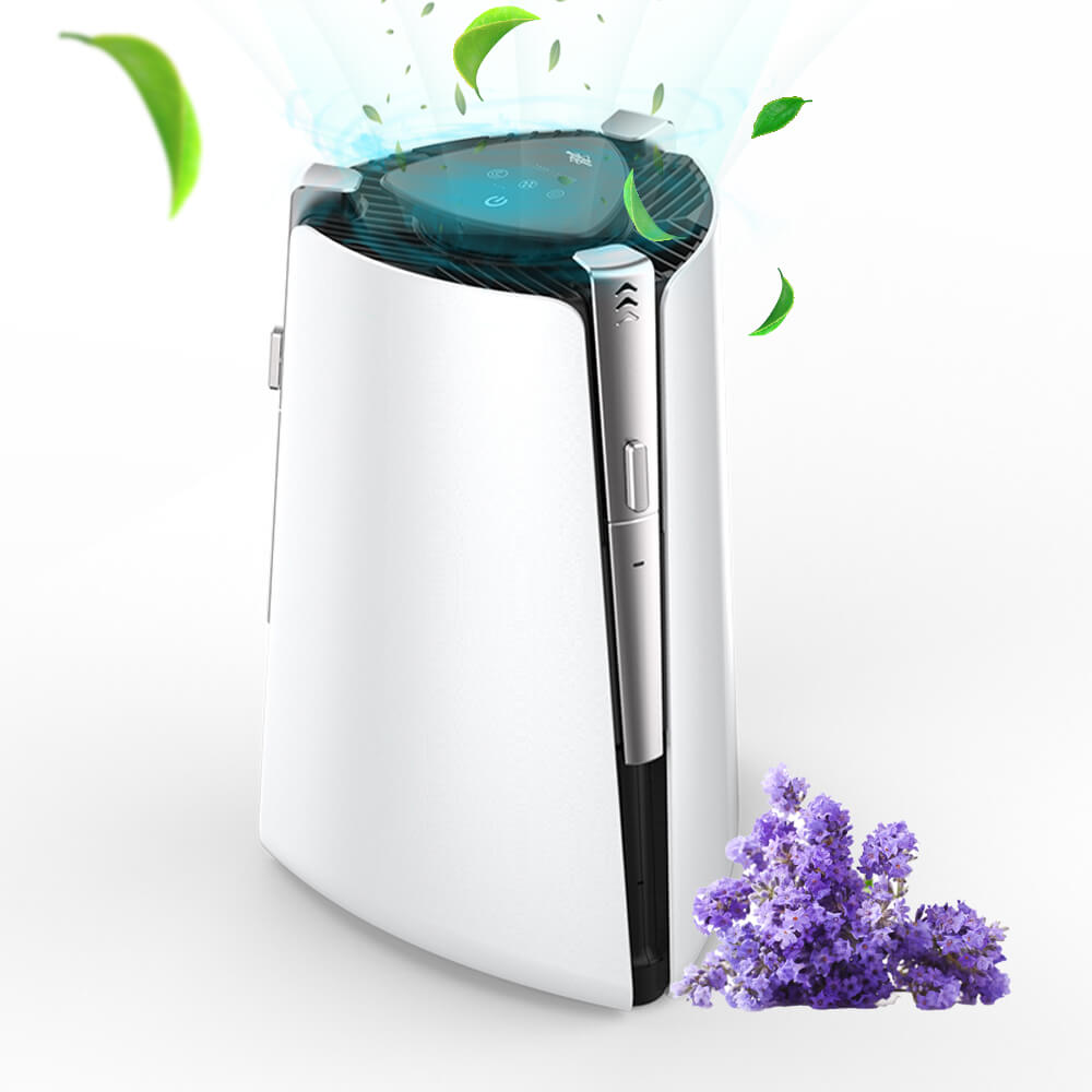 Because Impolite courtyard MS50 Best Aromatherapy Air Purifier with Essential Oils Diffuser