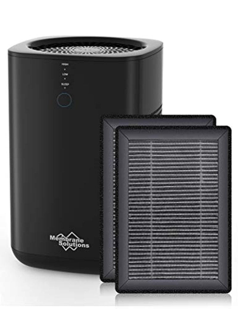 air purifier filter replacement