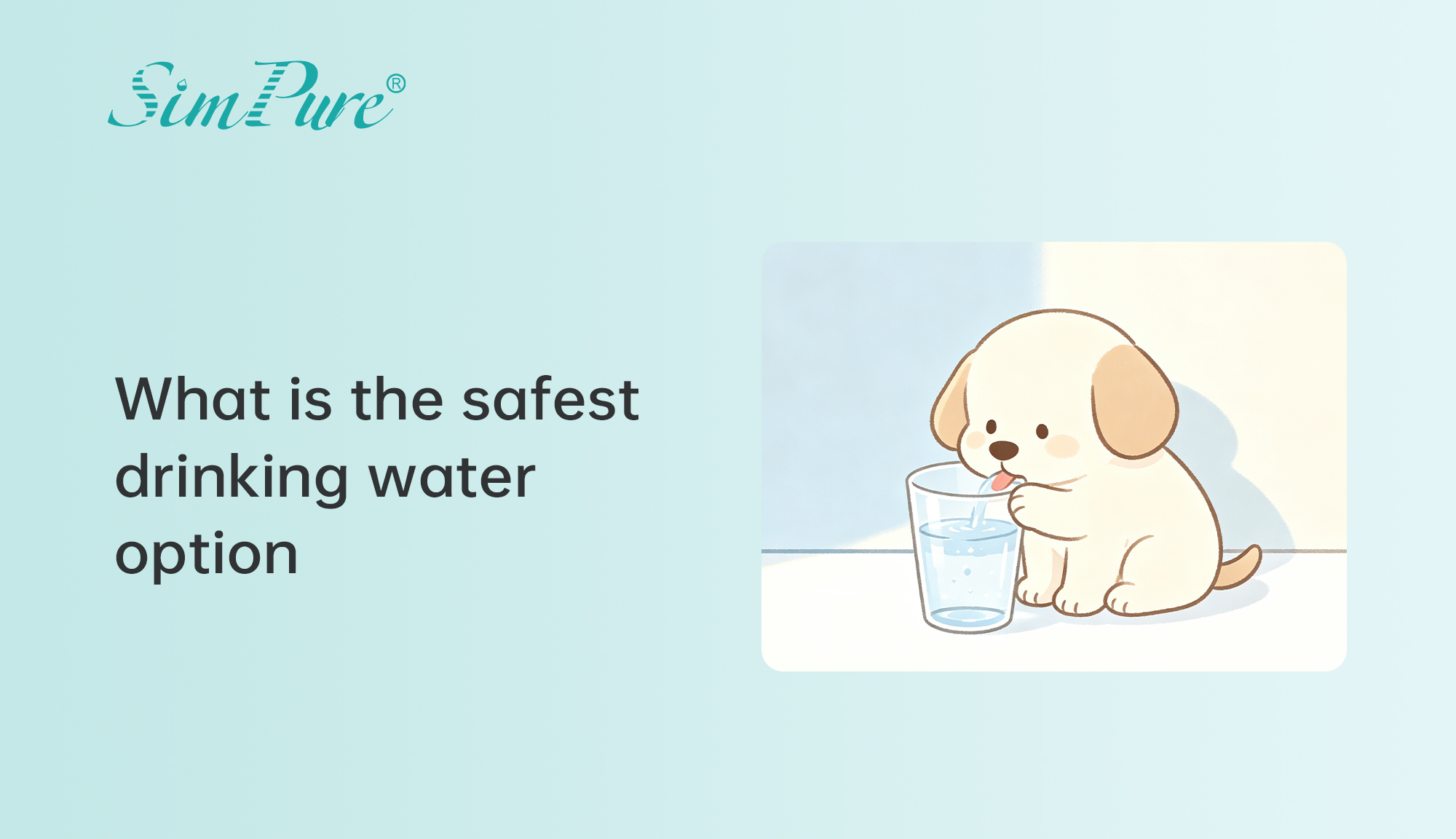 Is Reverse Osmosis Water Safe for Dogs? What Pet Owners Should Know
