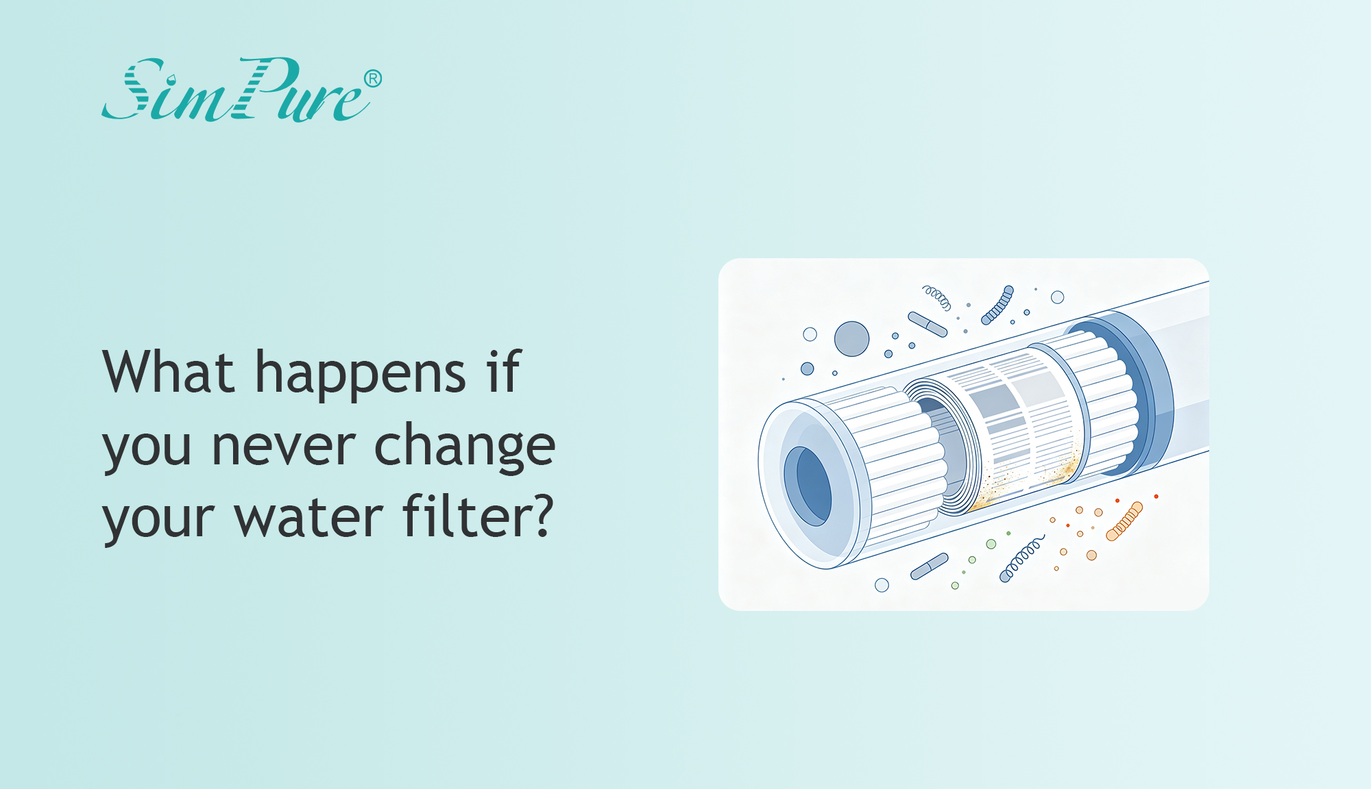 What happens if you never change your water filter?