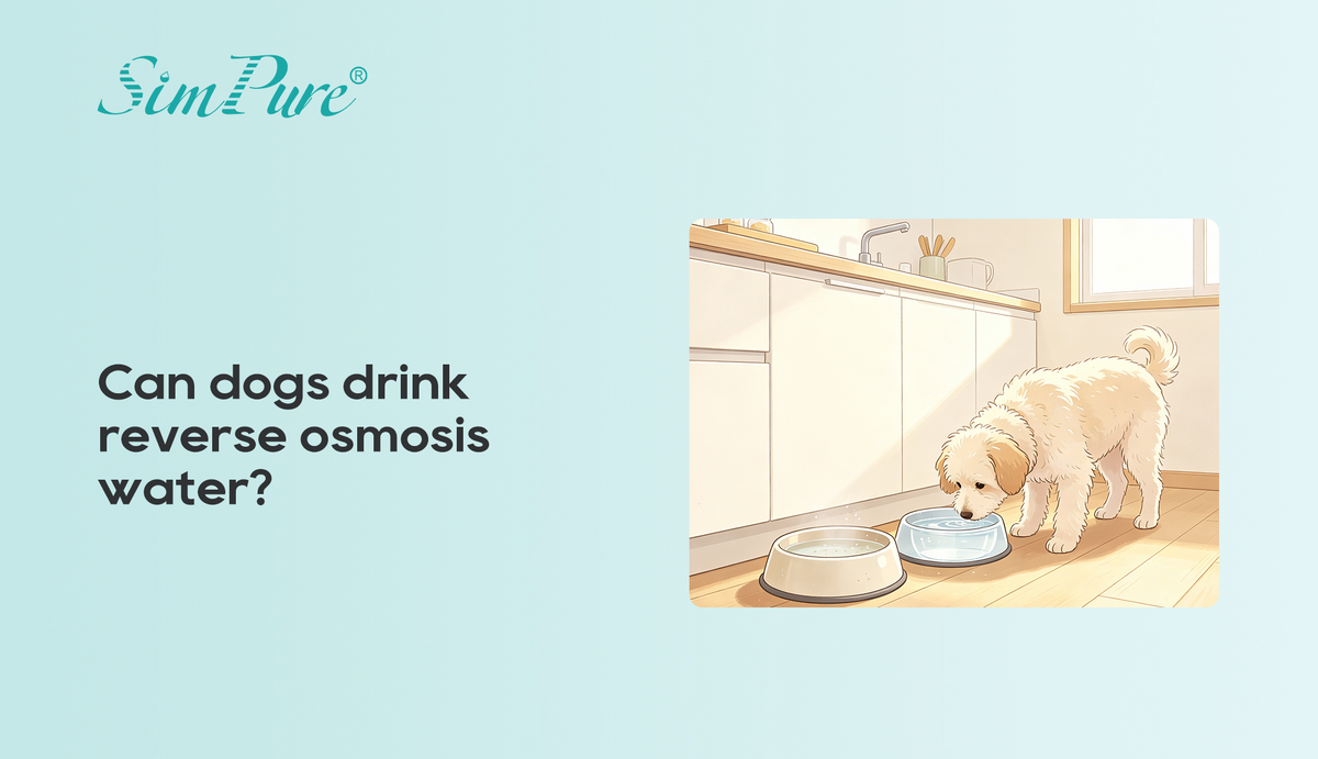 Can dogs drink reverse osmosis water?