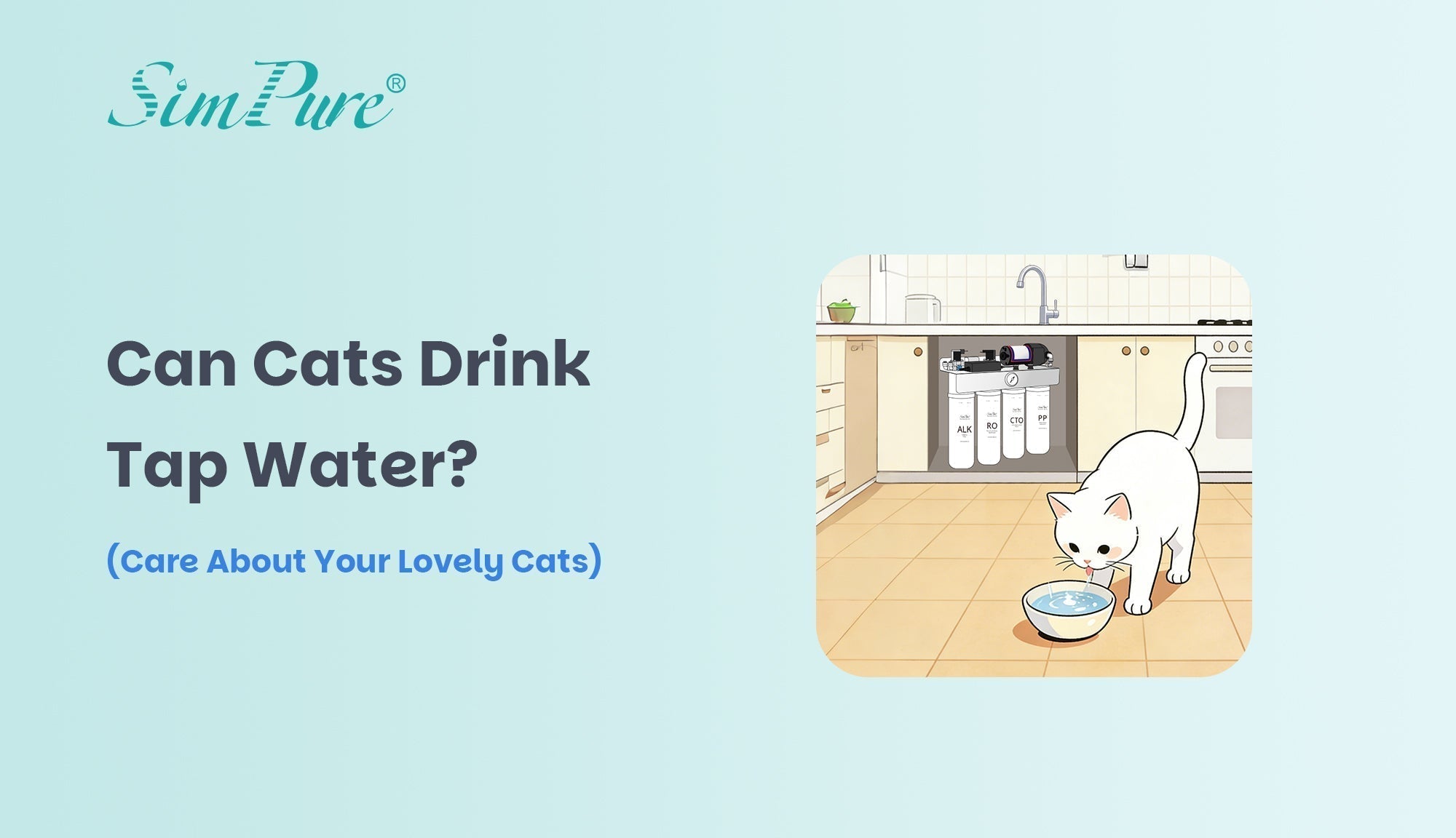 can cats drink tap water