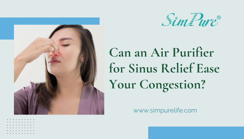 Can an Air Purifier for Sinus Relief Ease Your Congestion?