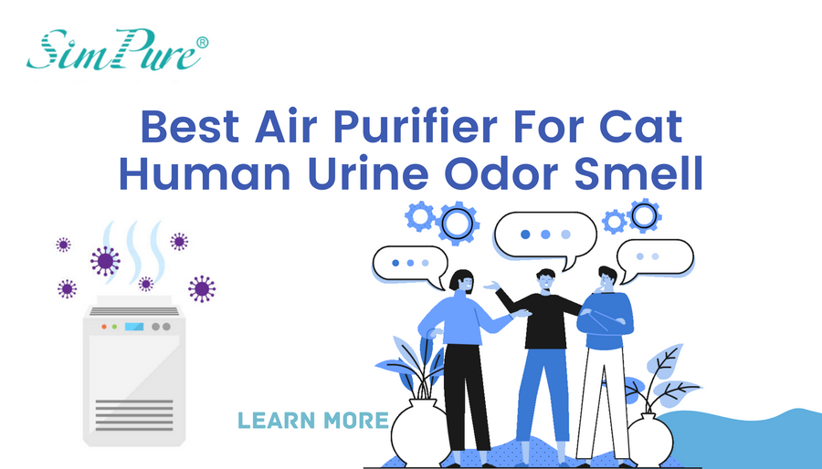 Best Air Purifier For Cat Human Urine Odor Smell