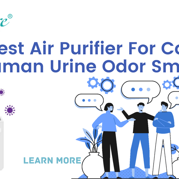 Best Air Purifier For Cat Human Urine Odor Smell