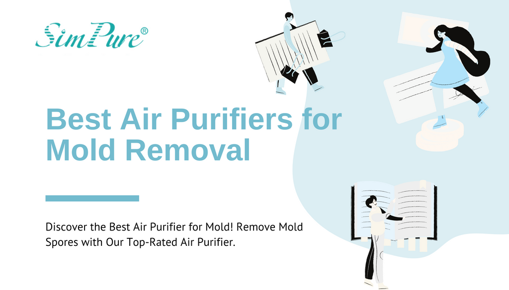 Best air filter for mold and mildew deals