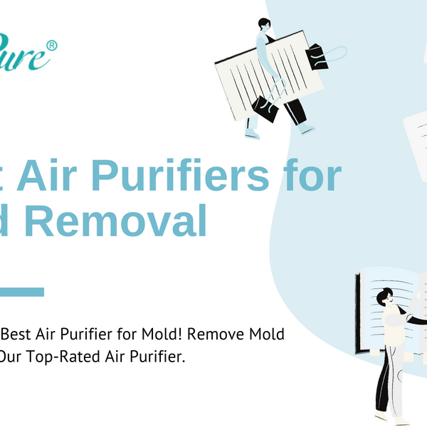 Mold Free Air Best Air Purifier for Mold Removal