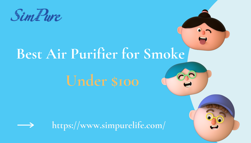 Best air purifier for clearance smoke under 100