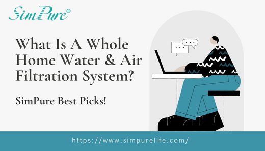 best whole house water filtration system