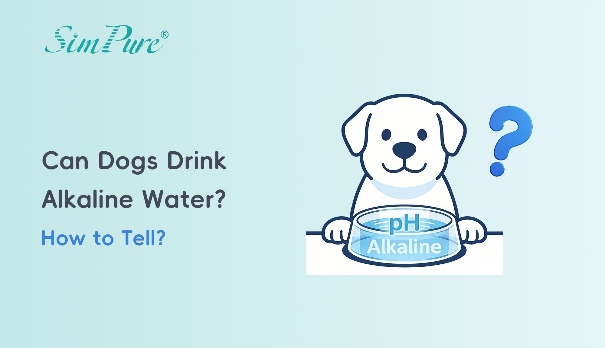 can dogs drink alkaline water