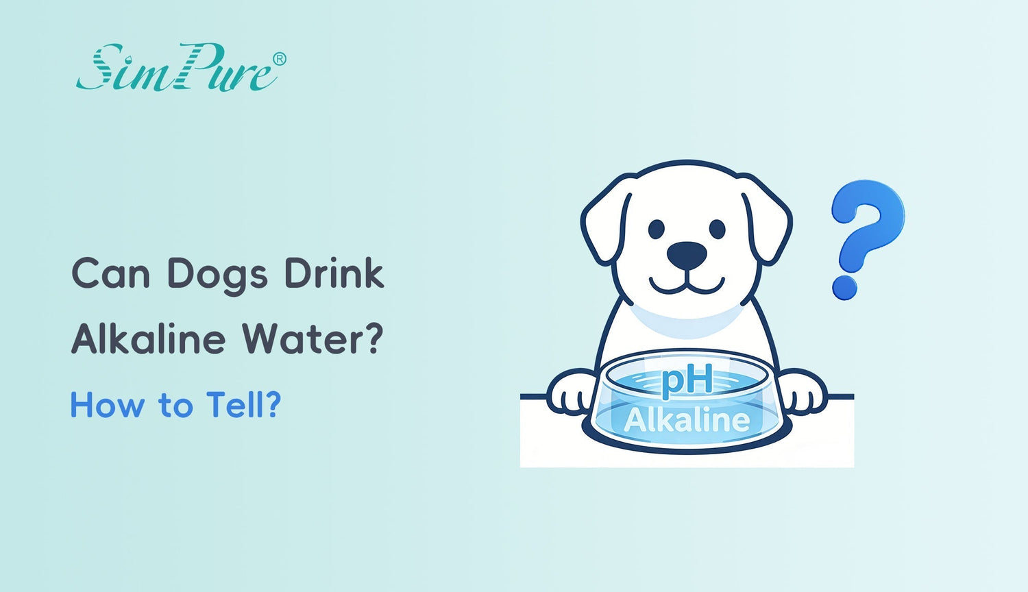 Can Dogs Drink Alkaline Water? How to Tell?