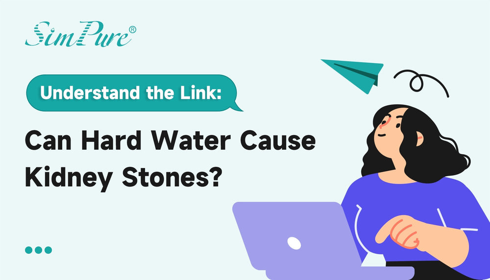 Understand the Link Can Hard Water Cause Kidney Stones?