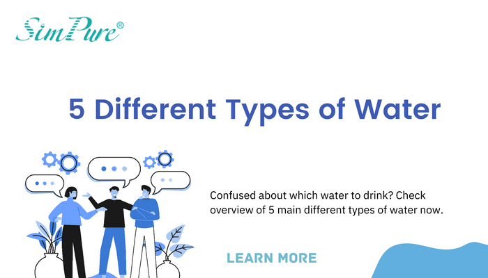 Diffent Waters Stay Hydrated: Exploring the 5 Different Types of Water