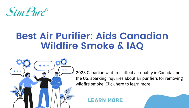 do air purifier help with wildfire smoke