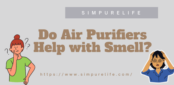 do air purifiers help with smell