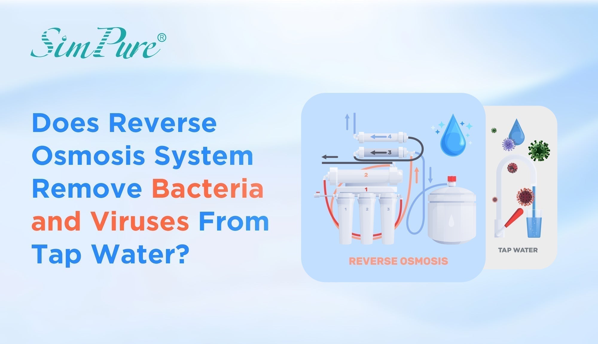 Does RO System Remove Bacteria and Viruses From Tap Water