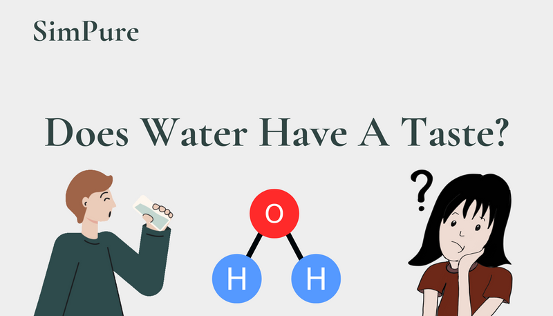 does water have a taste
