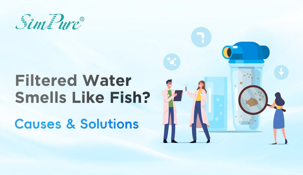 Why Does My Filtered Water Smell Like Fish | Detroit Chinatown