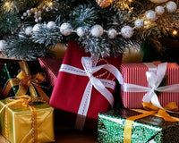 christmas gifts for health conscious