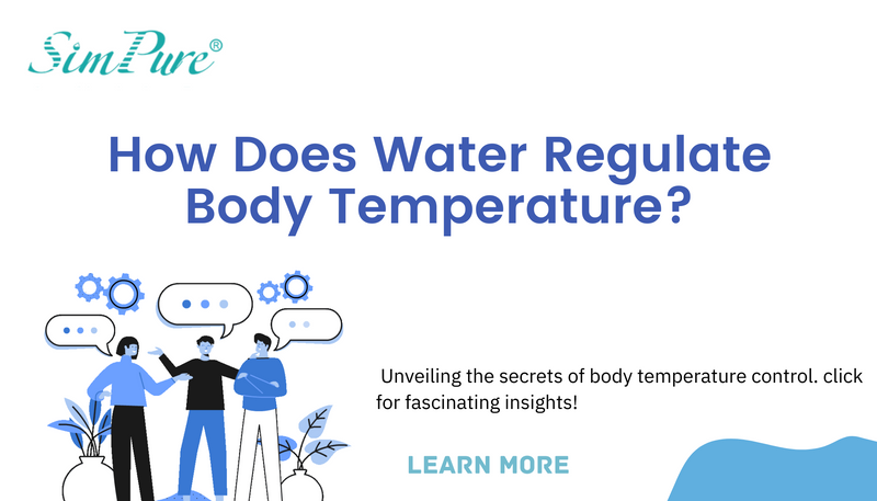 how does water regulate body temperature
