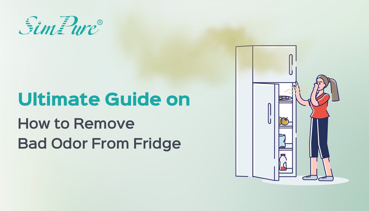 Ultimate Guide on How to Remove Bad Odor From Fridge