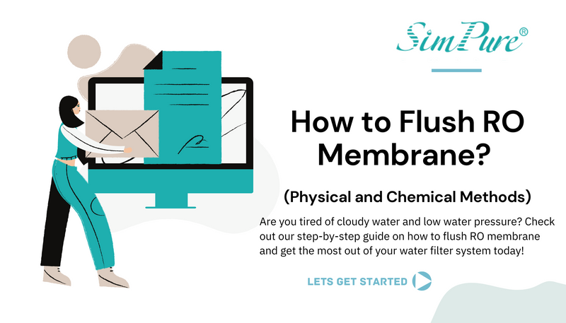 how to flush ro membrane