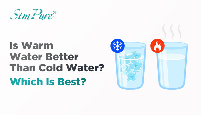 Is Warm Water Better Than Cold Water? Which Is Best?