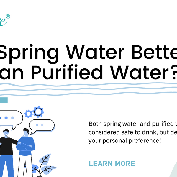Purified vs store spring water