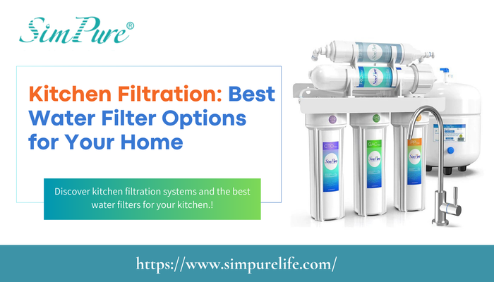 Kitchen Filtration: Best Water Filter Options for Your Home