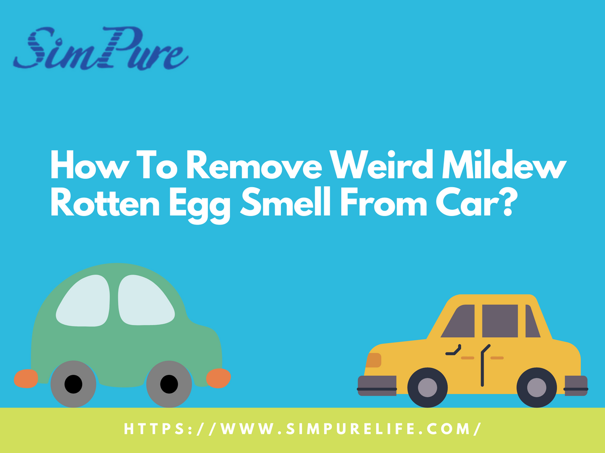 How To Remove Weird Mildew Rotten Egg Smell From Car?