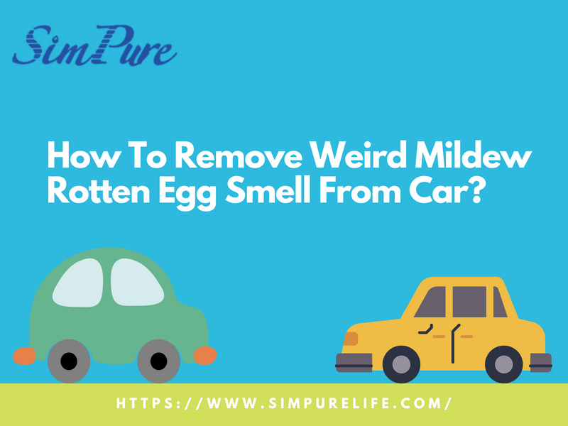 rotten egg smell from car