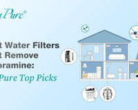 water filters that remove chloramine