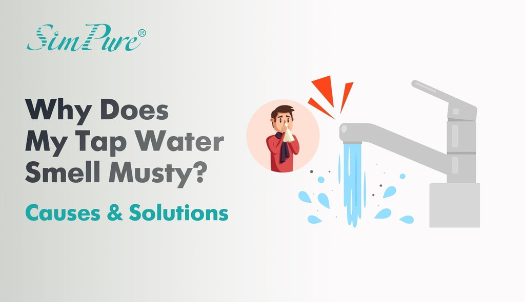 Water Heater Smells Musty: Quick Fixes to Eliminate Odors