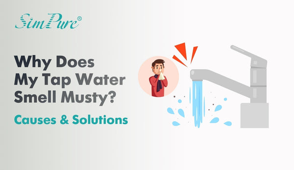 Why Does My Tap Water Smell Musty? (Causes & Easy Fixes)