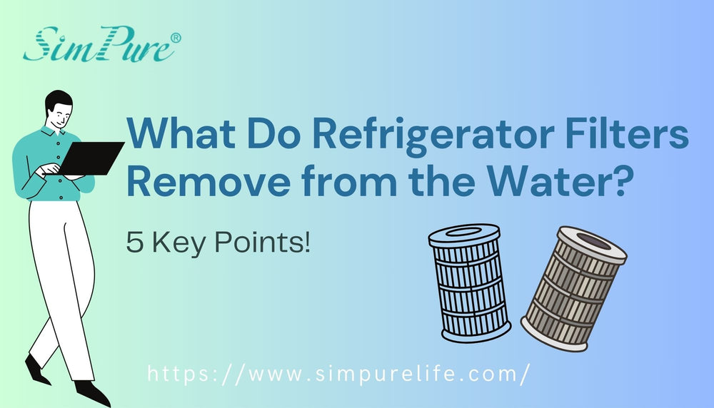 What Do Refrigerator Filters Remove from the Water? 5 Key Points!