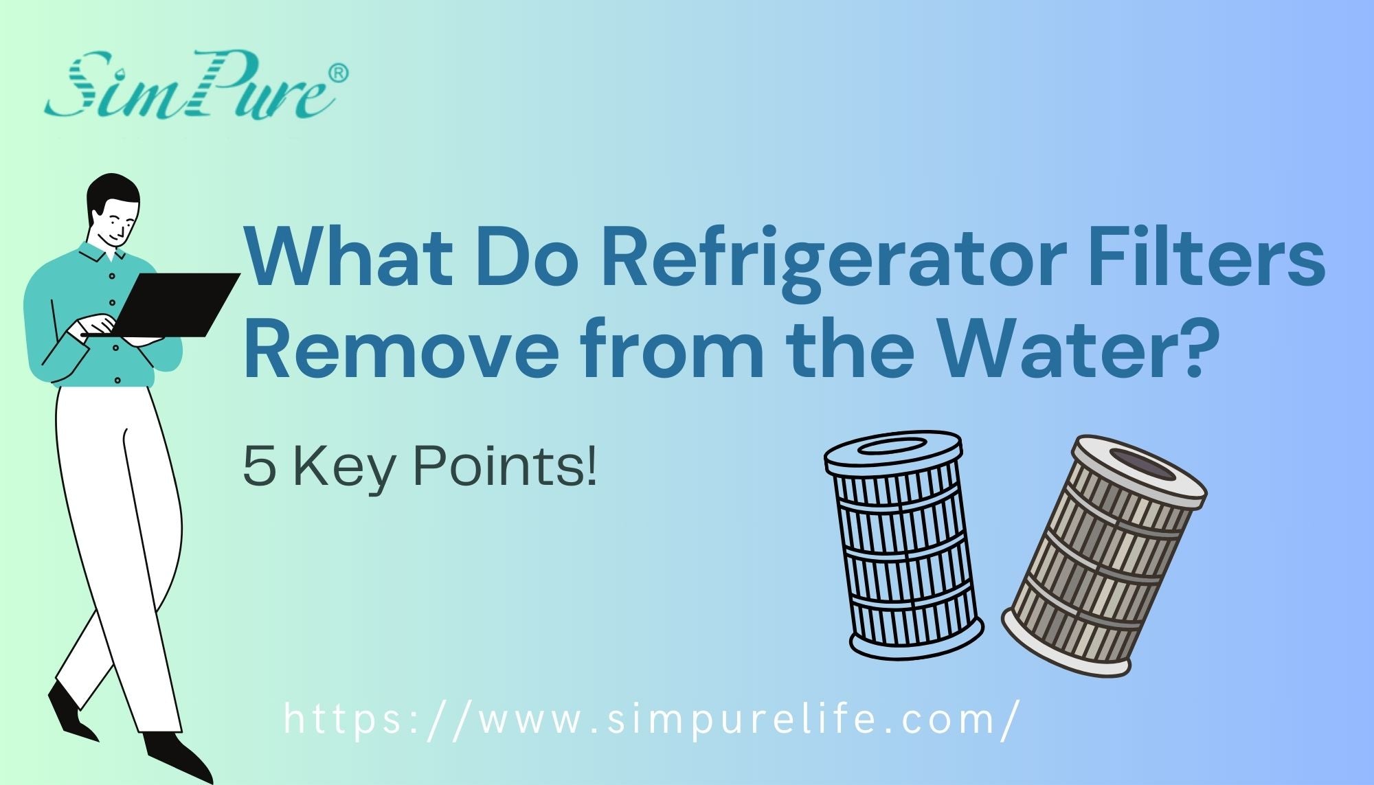 what do refrigerator water filters remove