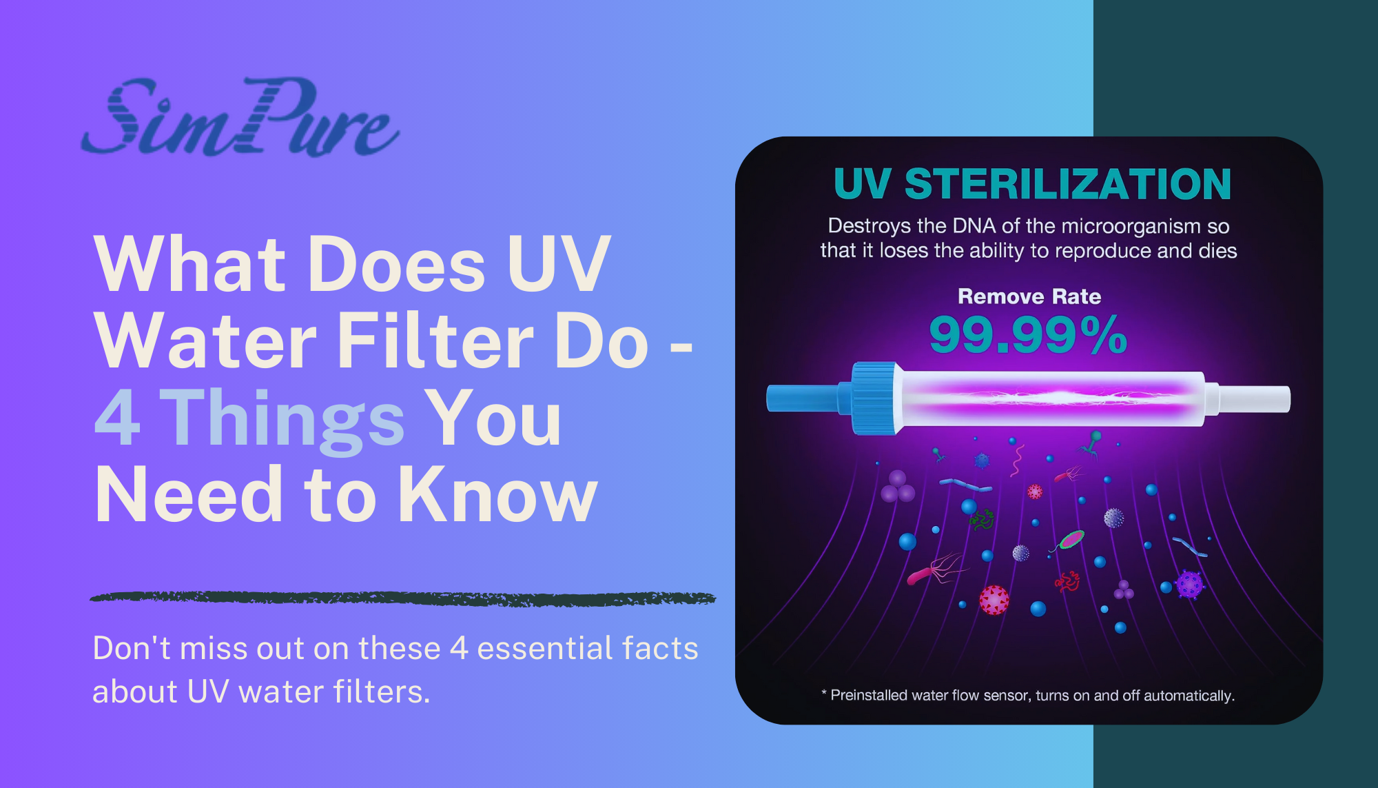 what does uv water filter do