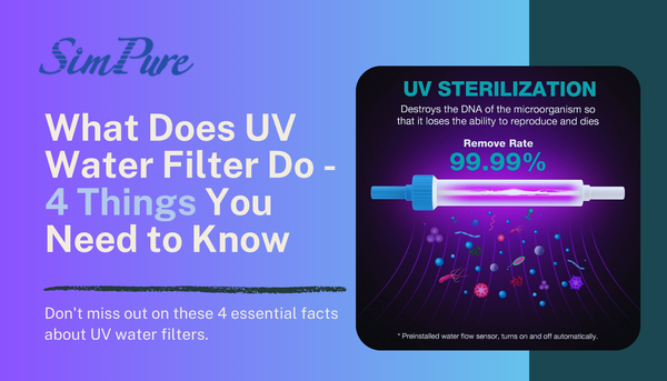 What Does UV Water Filter Do: 4 Things You Need to Know