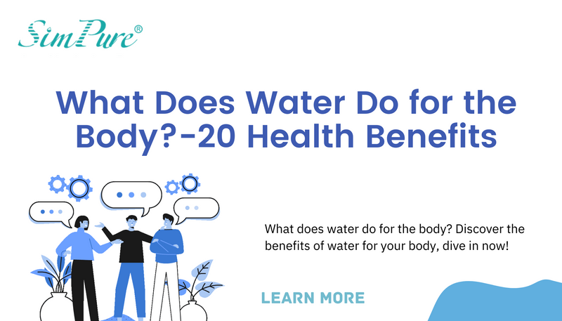 what does water do for the body