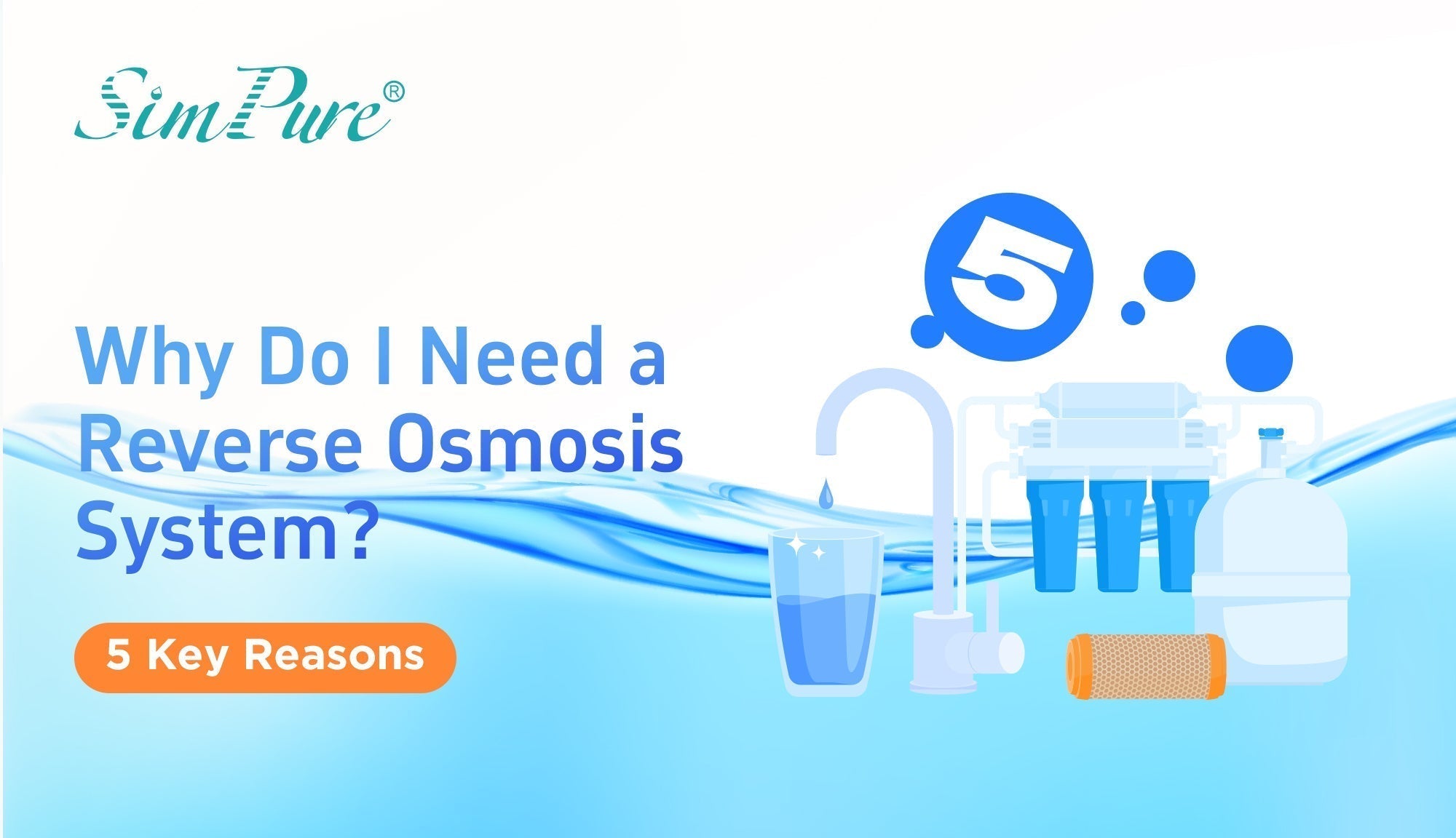 Why Do I Need a Reverse Osmosis System