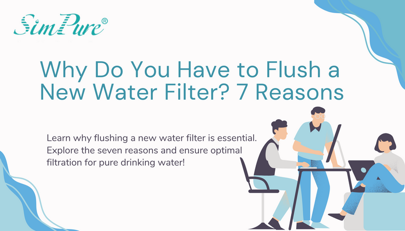 why do you have to flush a new water filter