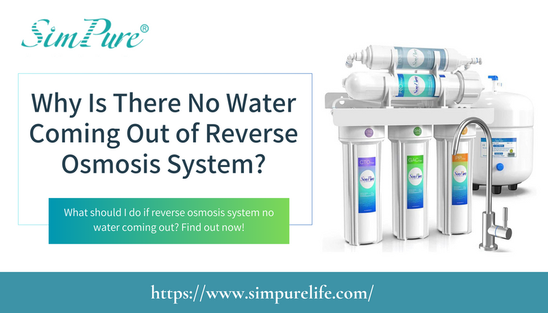 no water coming out of reverse osmosis system