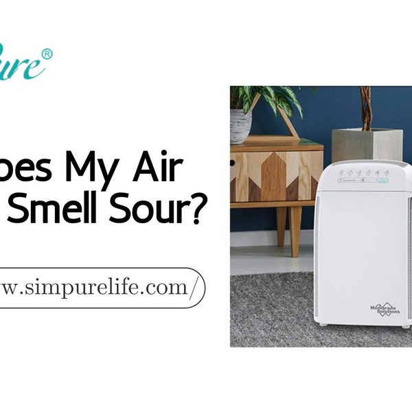 My air cheap purifier smells